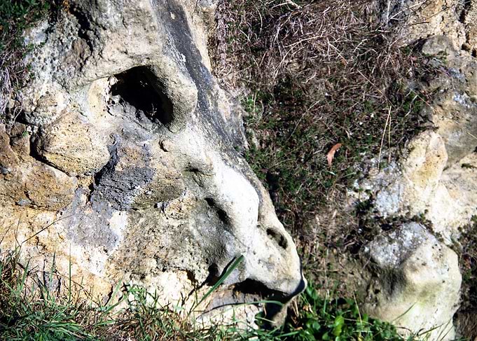 Stone Dragon