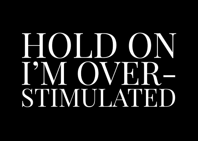 Hold On I'm Overstimulated Text Art