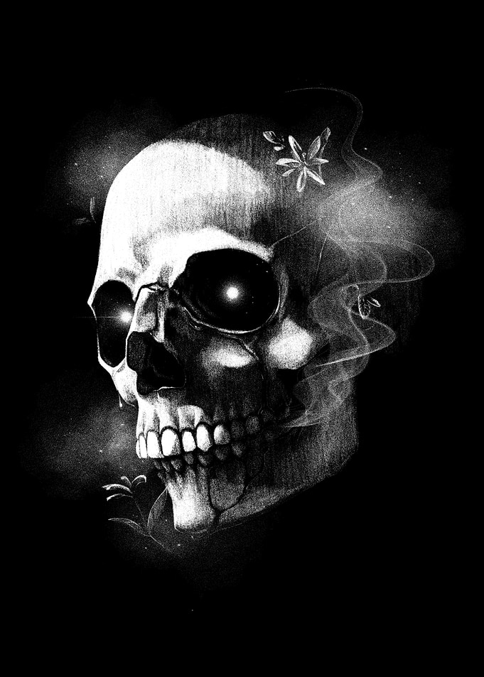 Ethereal Glowing Skull with Floral Accents