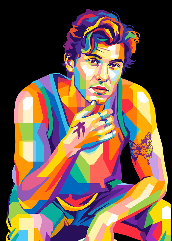 Shawn Mendes WPAP