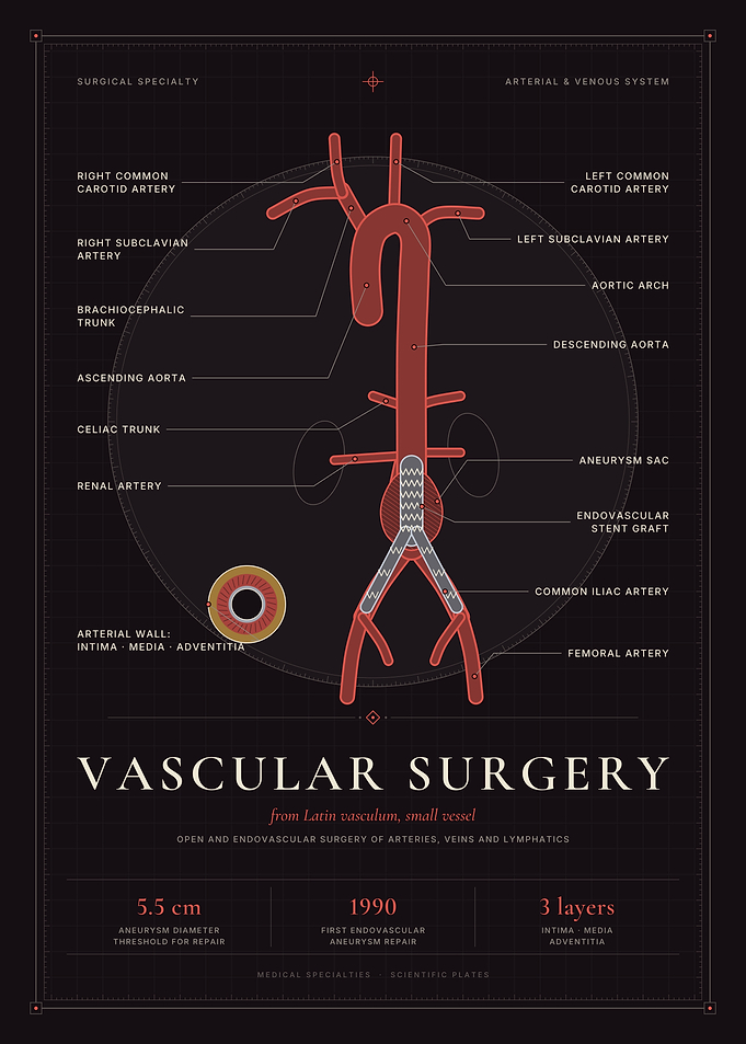 Vascular Surgery – Aorta Anatomy & Endovascular Stent Graft