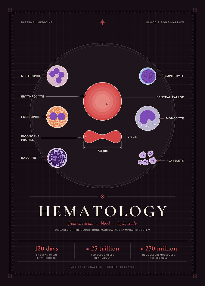 Hematology - Blood Cell Types - Red Cells, Leukocytes, Platelets