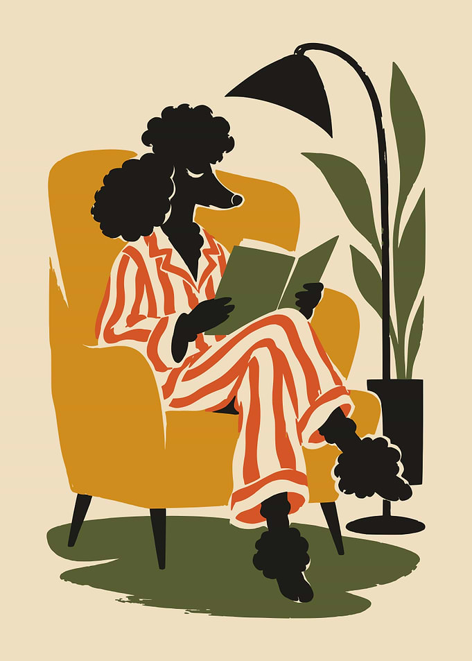 Poodle Reading in Armchair Illustration
