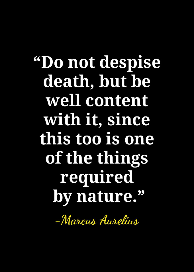 Marcus Aurelius Stoic Quote Poster