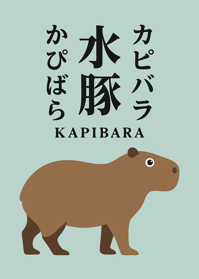 Capybara in Mist Teal — Kanji, Hiragana, Katakana & Romaji Japanese Word Art