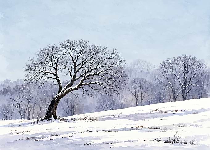 Winter Landscape with Bare Trees