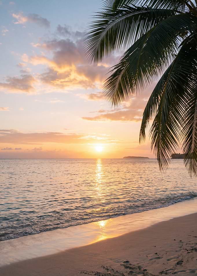 Tropical Beach Sunset with Palm Tree
