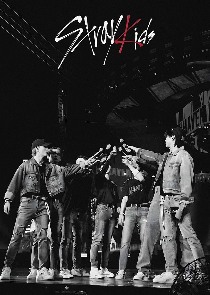 Stray Kids Concert Performance