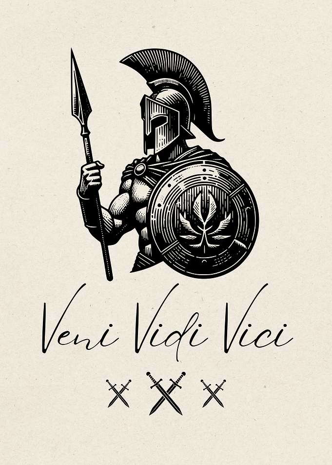 Veni Vidi Vici Spartan Warrior Roman Illustration
