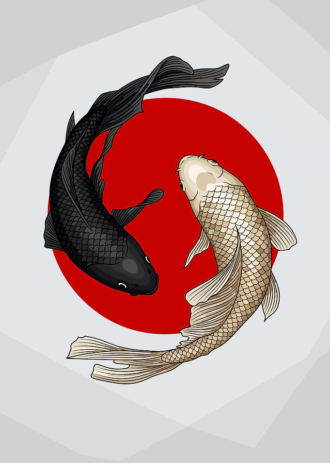 Yin Yang Koi Fish Illustration
