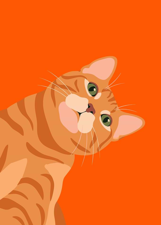 Minimalist Orange Tabby Cat Illustration