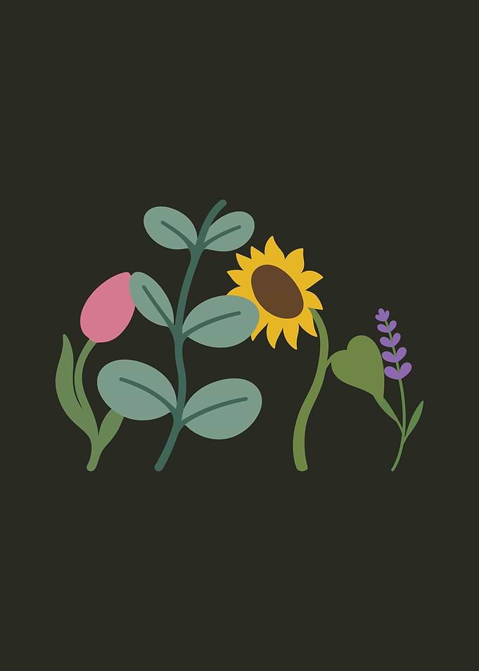 Lavender Flowers Tulip Sunflower