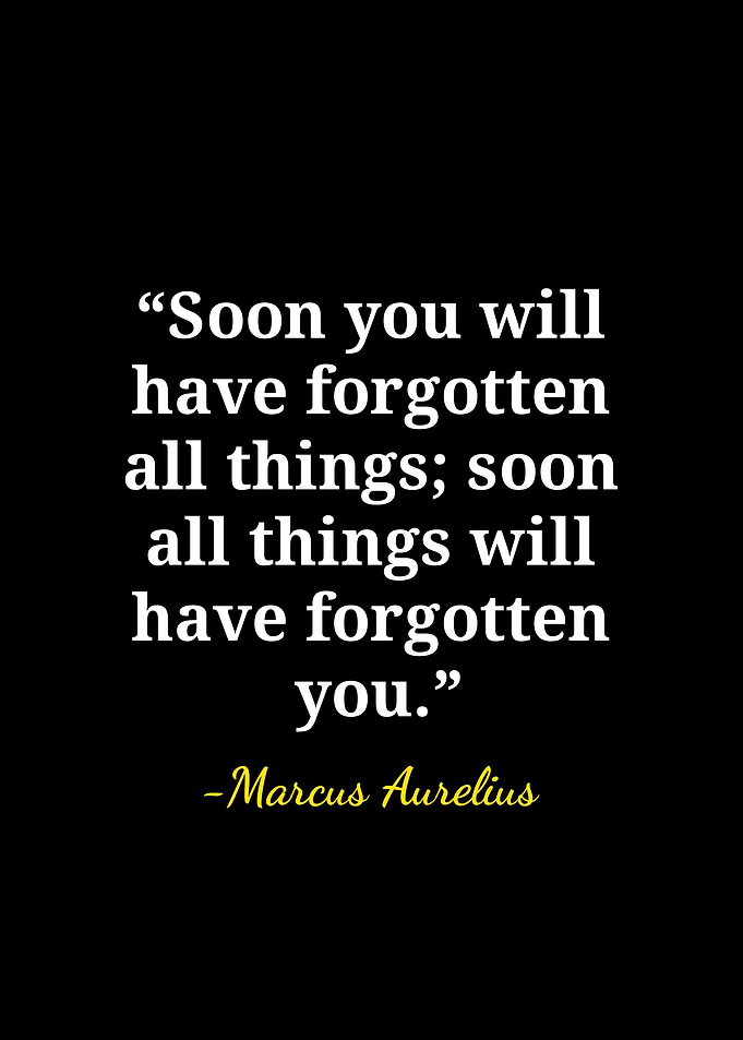 Marcus Aurelius Stoic Quote Poster