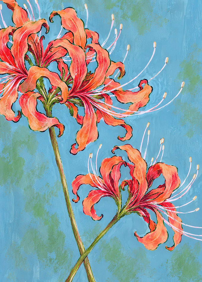 Vibrant Red Spider Lily Illustration
