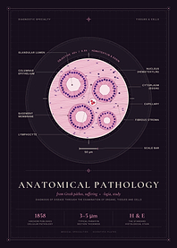 Anatomical Pathology – H&E Histology Under the Microscope