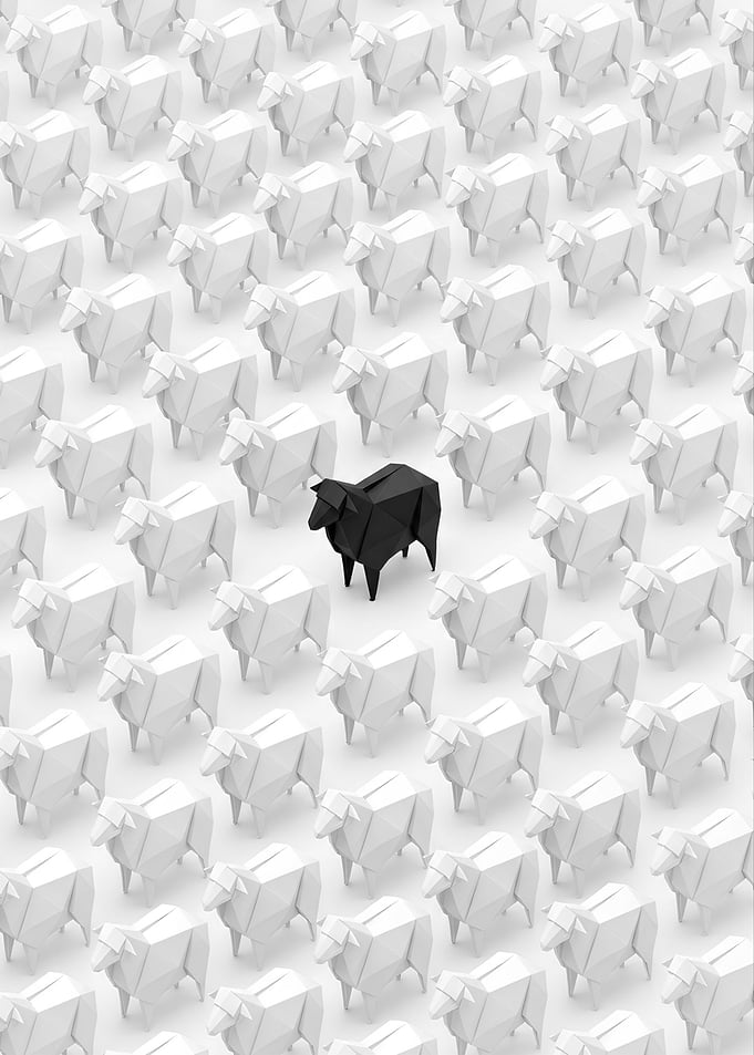 Black Sheep Among White Origami Flock
