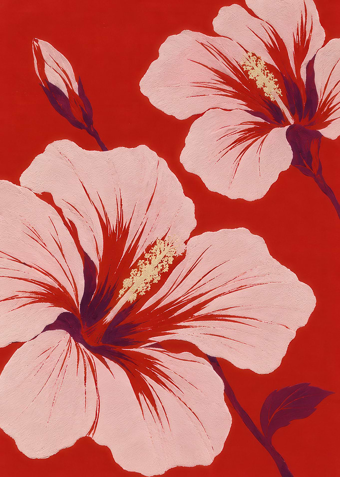Pink Hibiscus Flowers on Red