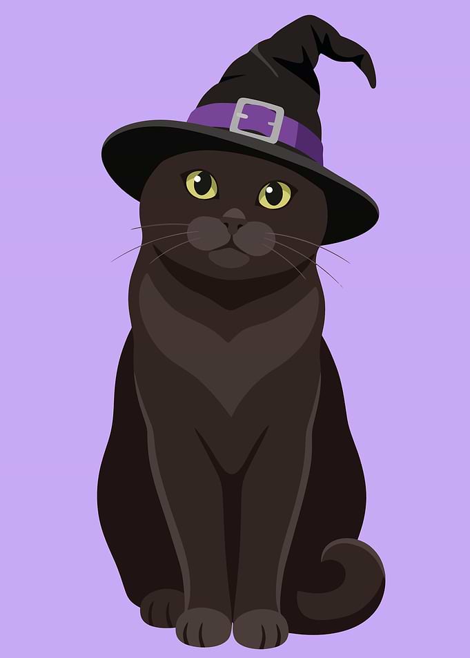 Cute Black Cat Witch