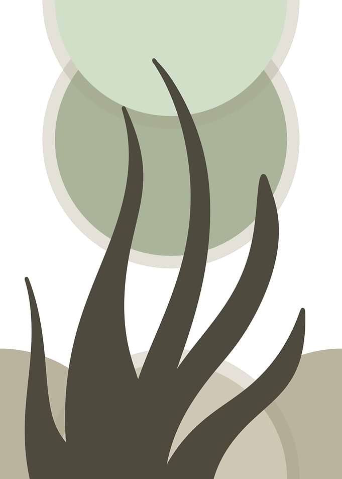 Minimalist Abstract Botanical Wall Art