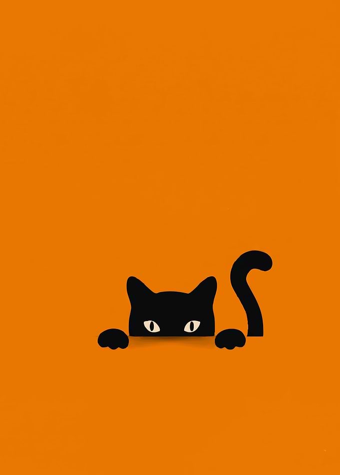 Minimalist black cat on orange