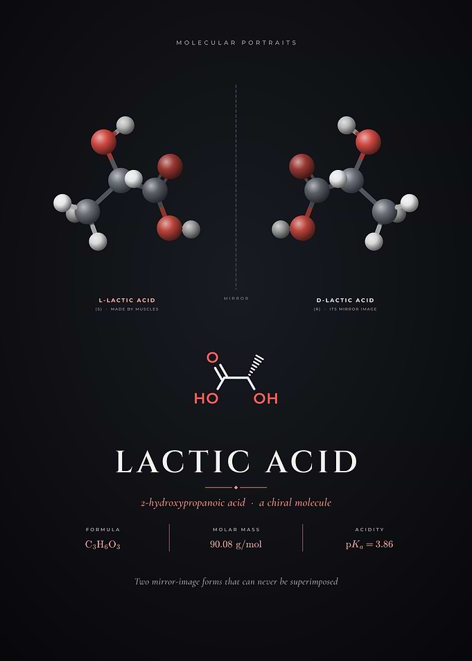 Lactic Acid Enantiomers Chiral Molecule Model