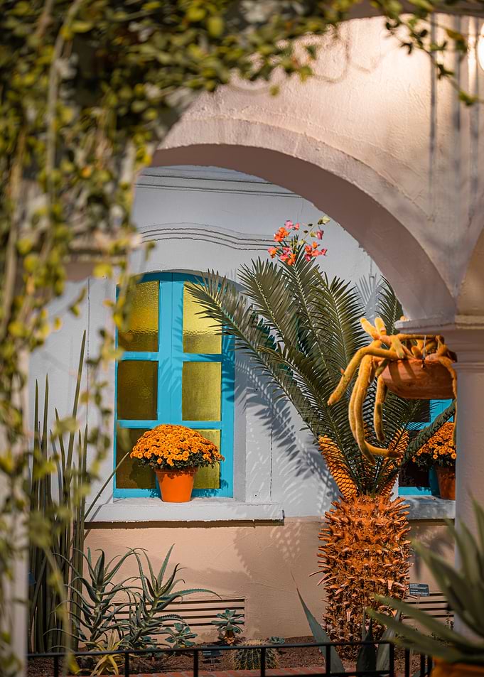 Vibrant Courtyard with Tropical Plants