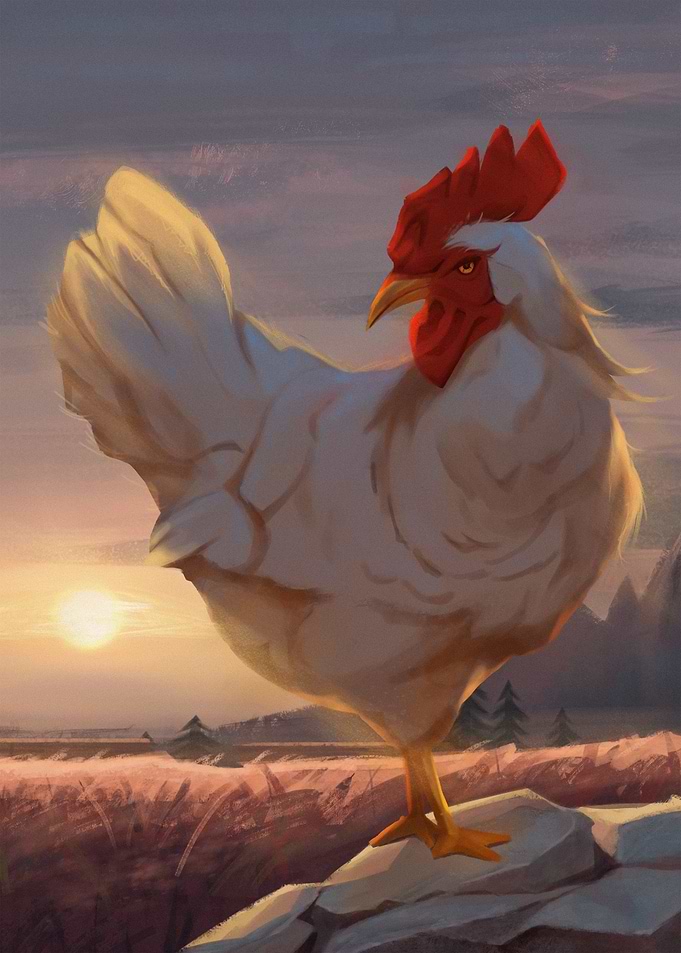 Majestic White Rooster at Sunset