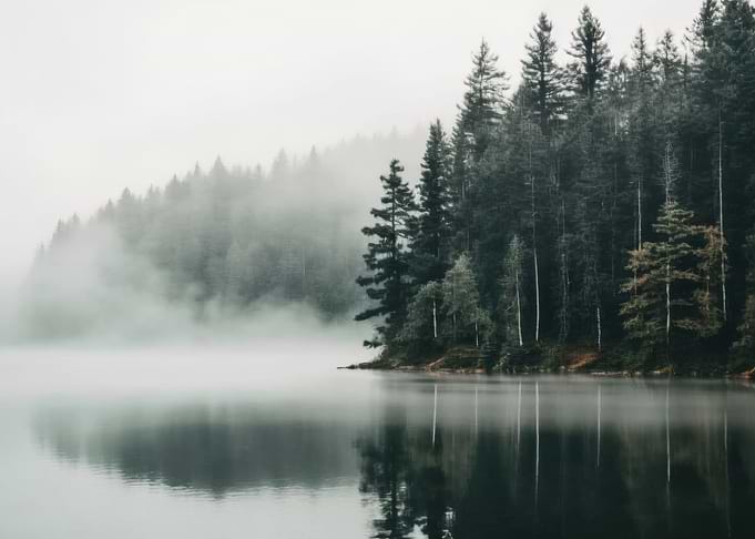 Misty Forest Lake Landscape