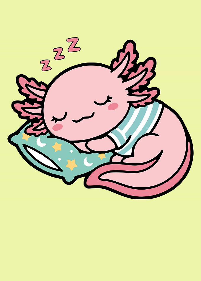 Cute Sleeping Axolotl Illustration