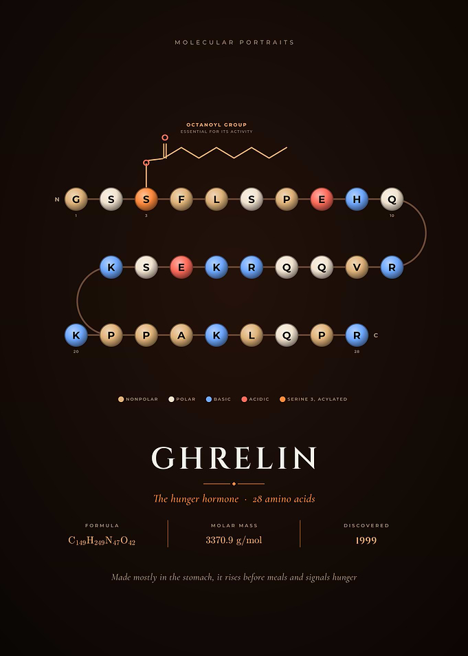 Ghrelin Hunger Hormone Peptide Sequence