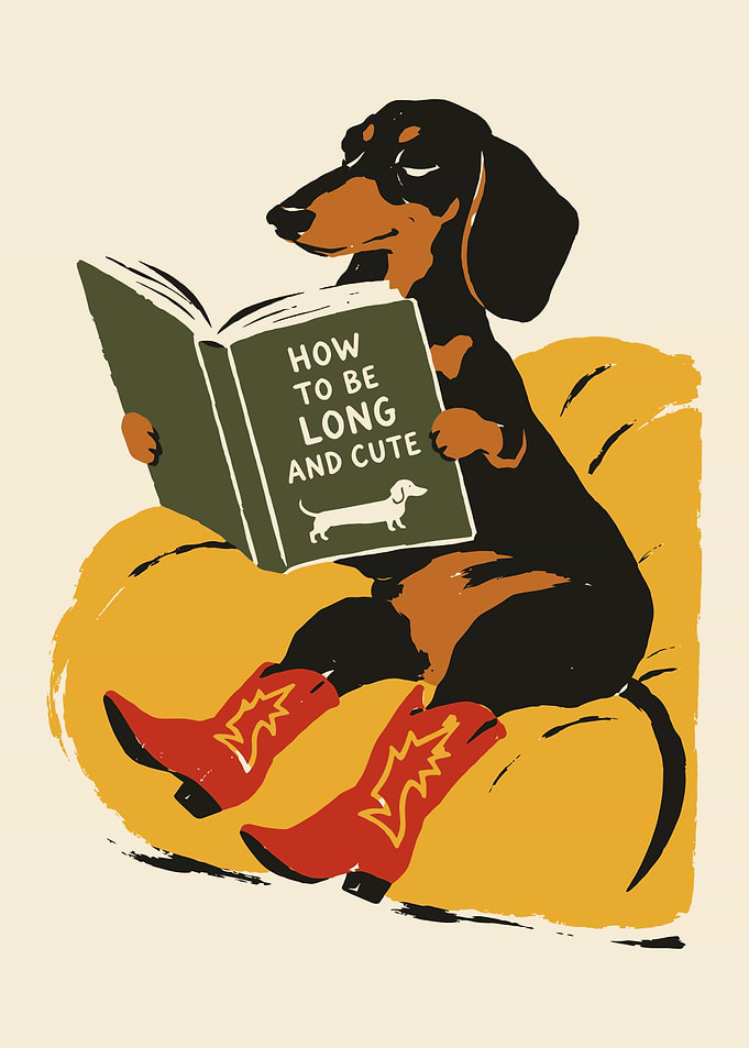 Dachshund Reading Book in Cowboy Boots