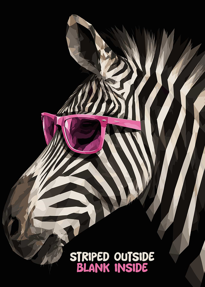 Cool Zebra with Pink Sunglasses