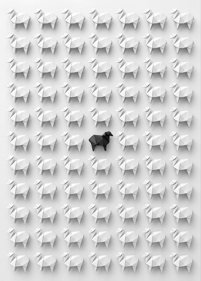 Black Sheep Among White Origami Sheep