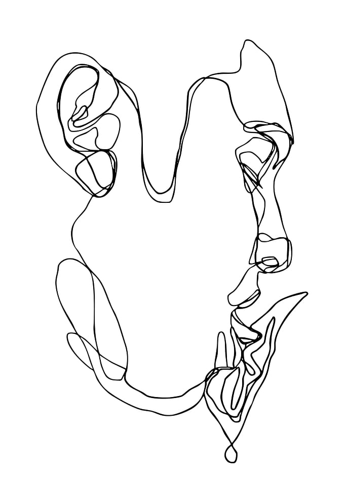 Abstract Continuous Line Face Drawing