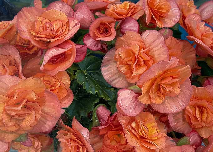 Vibrant Peach Begonia Flower Painting