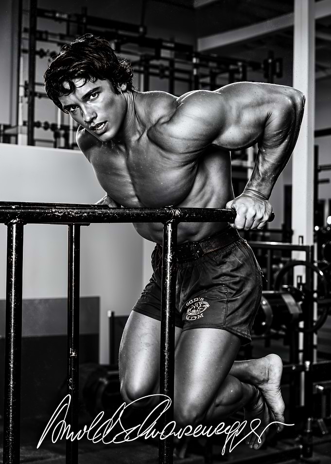 Arnold Schwarzenegger