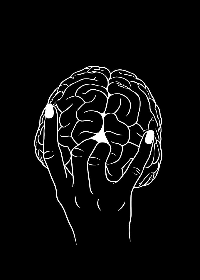 Hand Holding a Human Brain