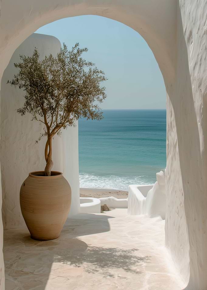 Olive Tree in White Arch - Mediterranean View