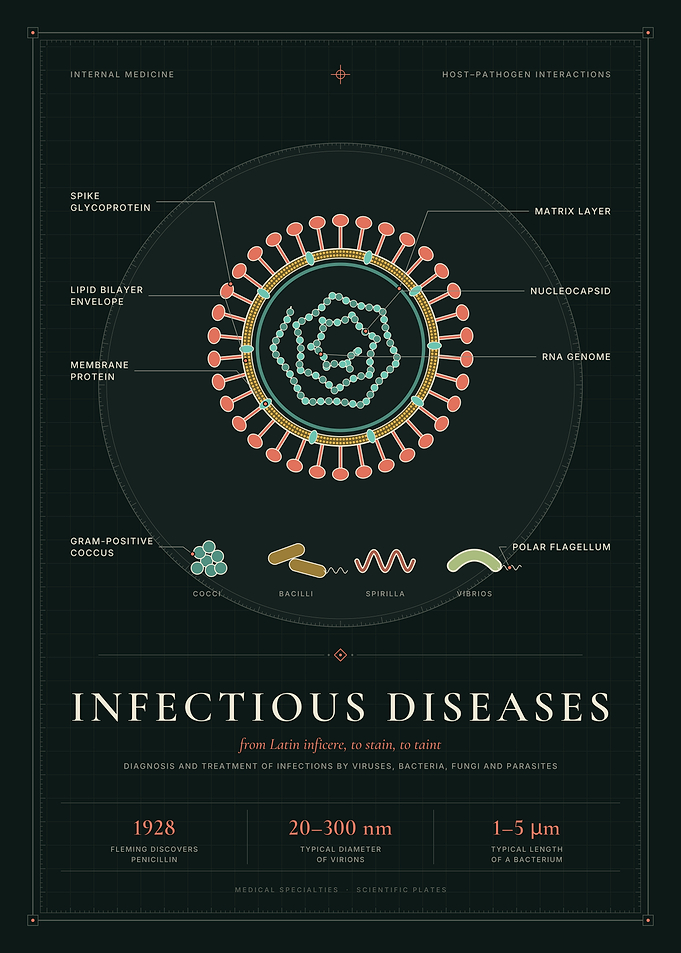 Infectious Diseases – Virus Structure & Bacteria Morphology