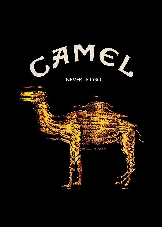 Camel Never Let Go Graphic Art