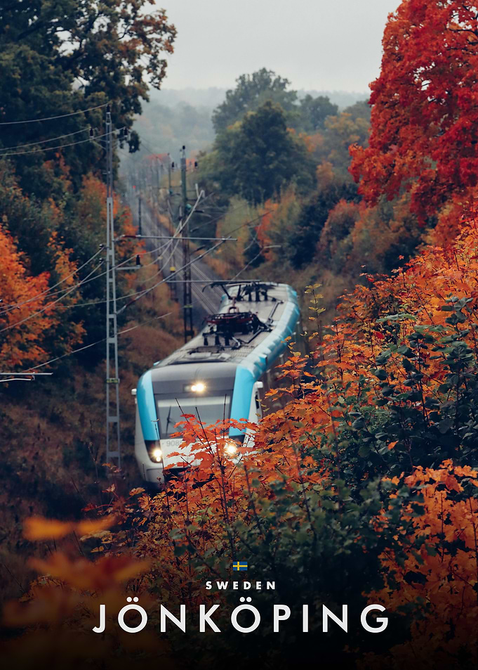 Train Traveling Through Autumnal Swedish Landscape