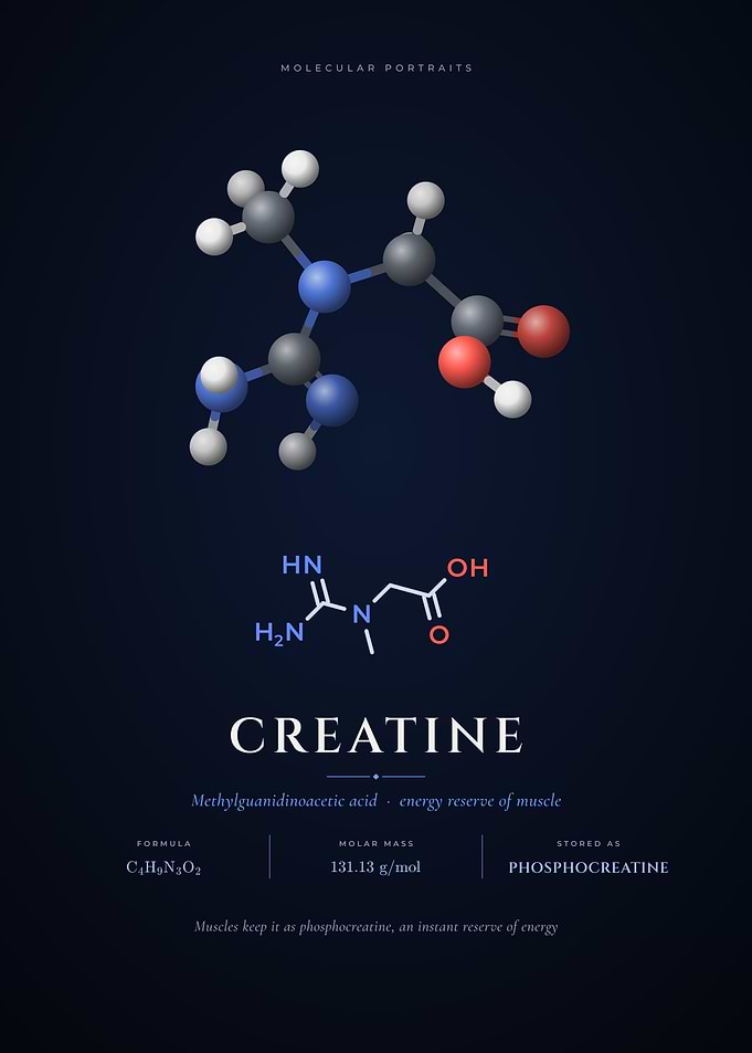 Creatine Molecule Muscle Energy Chemistry