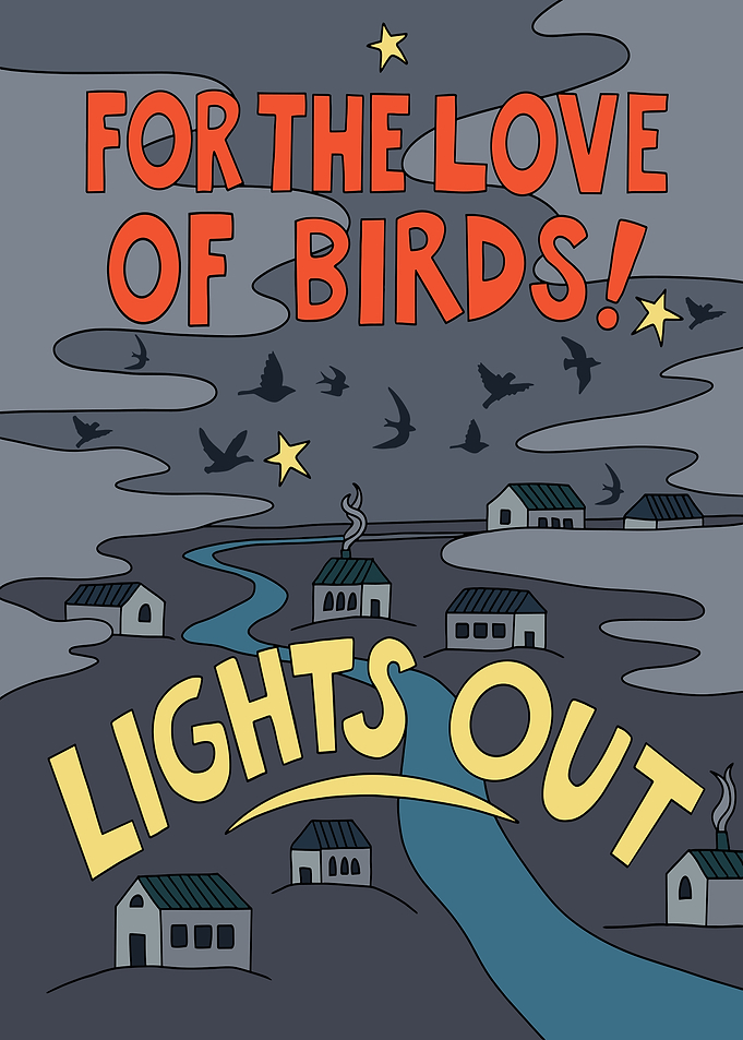 For the Love of Birds Lights Out Poster