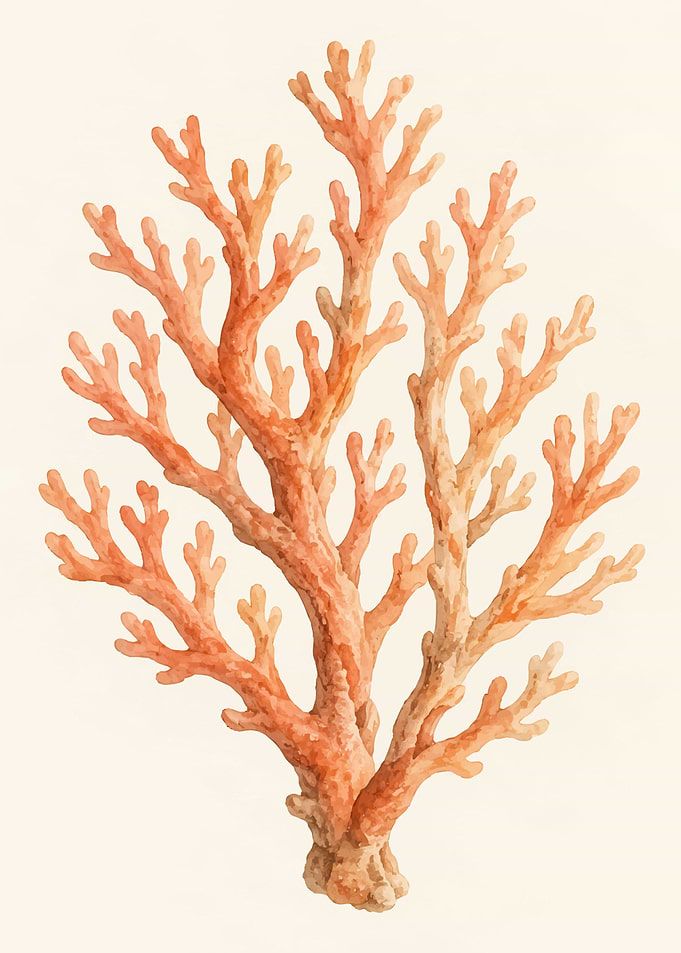 Watercolor Illustration of Orange Coral