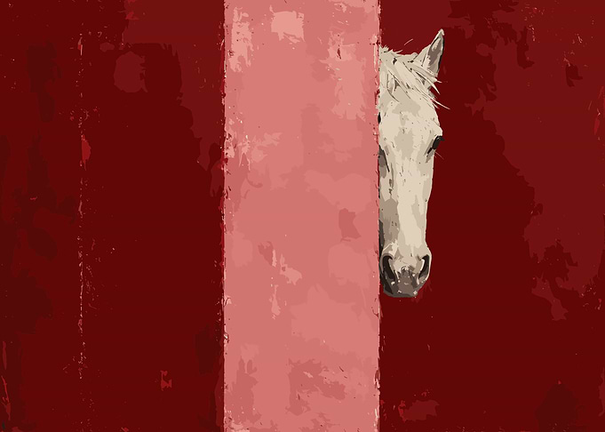 White Horse Peeking Behind Red Wall