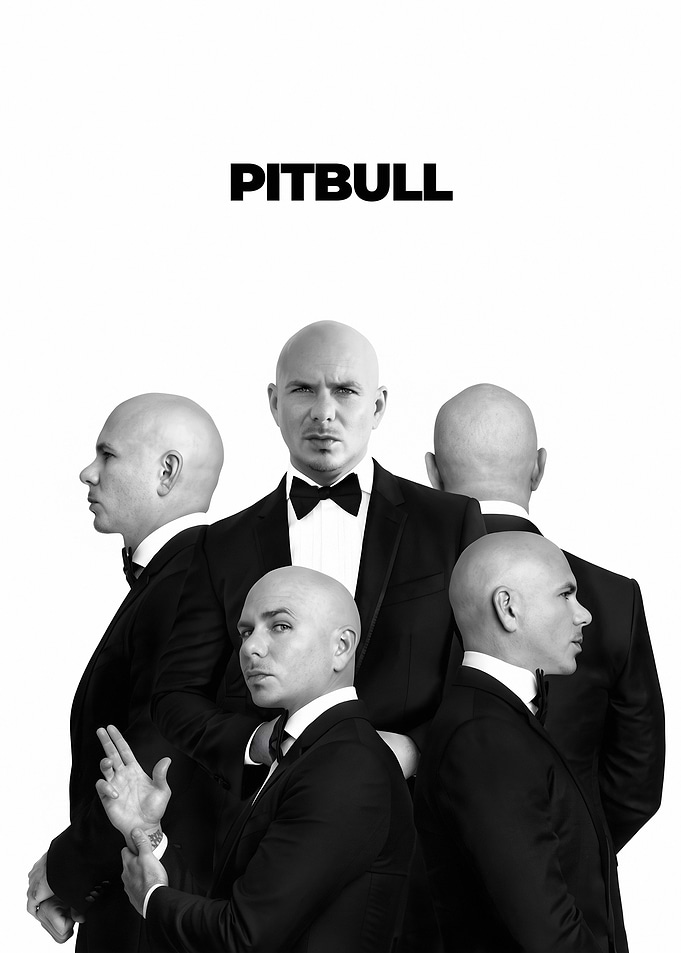 PITBULL Portraits Poster