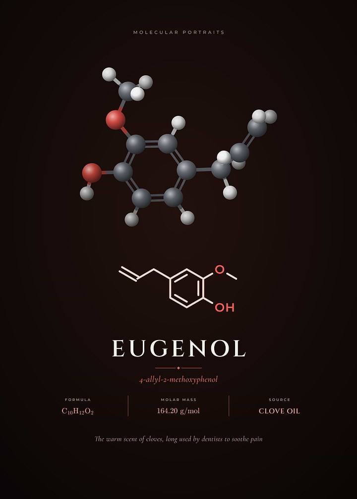 Eugenol Molecule The Chemistry of Cloves