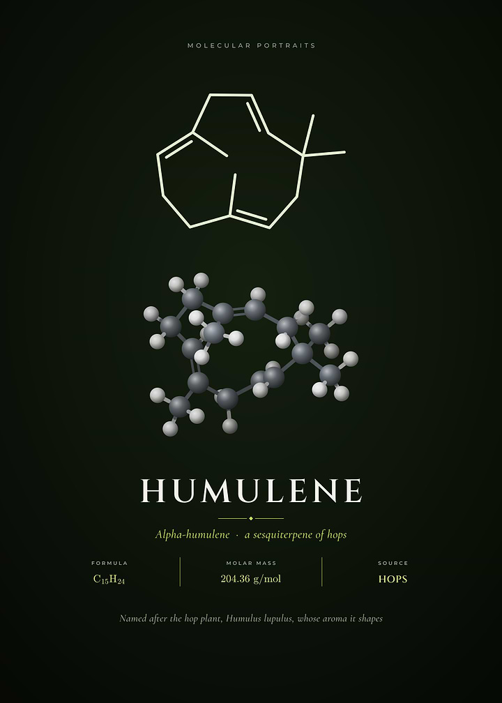 Humulene Molecule The Aroma of Hops