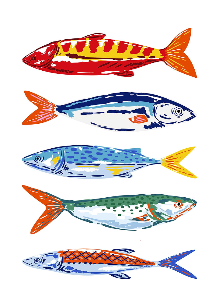 Colorful Hand-Drawn Fish Illustration Set