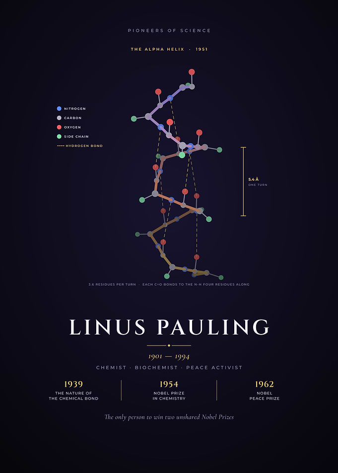Linus Pauling The Alpha Helix Protein Structure